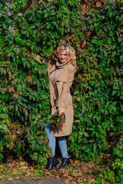 Yabani üzüm sonbahar buket holding arka plan yanındaki güzel kadın kazak ve ceket durumda Yuong bırakır