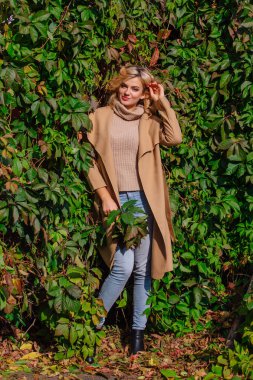 Yabani üzüm parkta buket sonbahar yaprakları holding arka yanındaki genç güzel kadın kazak ve ceket durumda