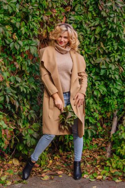 Yabani üzüm parkta buket sonbahar yaprakları holding arka yanındaki genç güzel kadın kazak ve ceket durumda