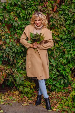 Yabani üzüm parkta buket sonbahar yaprakları holding arka yanındaki genç güzel kadın kazak ve ceket durumda