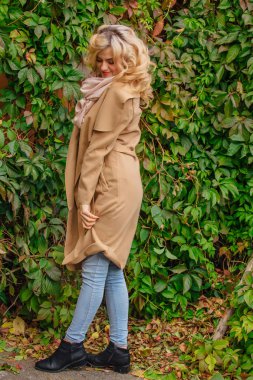 Yabani üzüm parkta buket sonbahar yaprakları holding arka yanındaki genç güzel kadın kazak ve ceket durumda