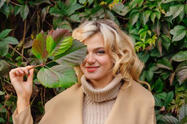 Yabani üzüm sonbahar park yüzüne yakın tutarak bırakır arka yanındaki genç güzel kadın kazak ve ceket durumda