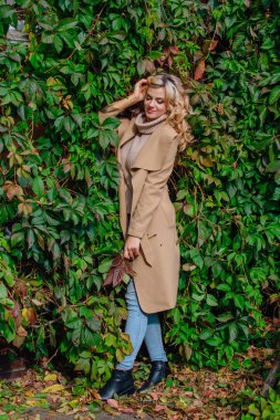 Yabani üzüm parkta buket sonbahar yaprakları holding arka yanındaki genç güzel kadın kazak ve ceket durumda