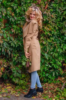 Yabani üzüm parkta buket sonbahar yaprakları holding arka yanındaki genç güzel kadın kazak ve ceket durumda