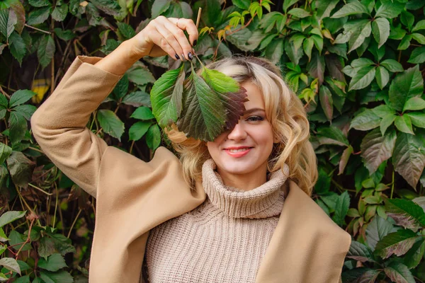 Young beautiful woman in sweater and coat stands next to the background of wild grapes holding leaves close to the face in autumn park