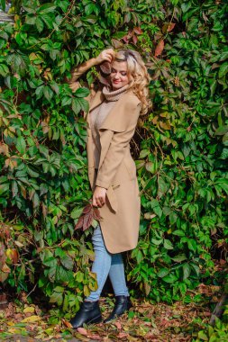 Yabani üzüm parkta buket sonbahar yaprakları holding arka yanındaki genç güzel kadın kazak ve ceket durumda