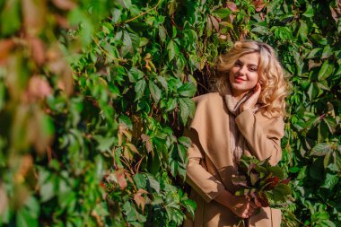 Yabani üzüm parkta buket sonbahar yaprakları holding arka yanındaki genç güzel kadın kazak ve ceket durumda