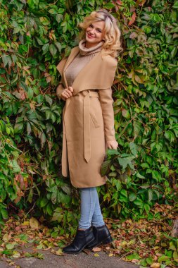 Yabani üzüm parkta buket sonbahar yaprakları holding arka yanındaki genç güzel kadın kazak ve ceket durumda