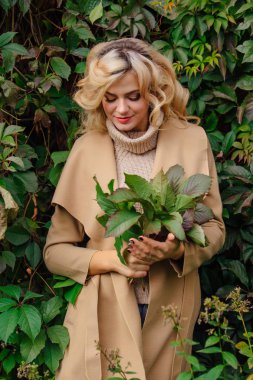 Yabani üzüm parkta buket sonbahar yaprakları holding arka yanındaki genç güzel kadın kazak ve ceket durumda