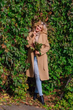 Yabani üzüm parkta buket sonbahar yaprakları holding arka yanındaki genç güzel kadın kazak ve ceket durumda