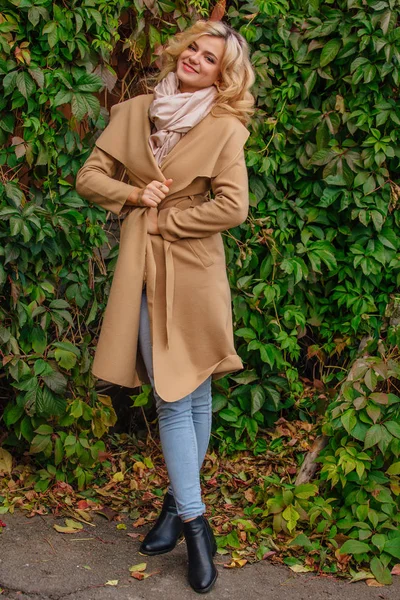 Yabani üzüm parkta buket sonbahar yaprakları holding arka yanındaki genç güzel kadın kazak ve ceket durumda