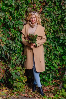 Yabani üzüm parkta buket sonbahar yaprakları holding arka yanındaki genç güzel kadın kazak ve ceket durumda