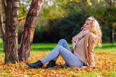 Düşen sarı sonbahar ile zemin örtmek ağacın altında oturan genç güzel kadın bırakır