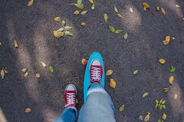 Close up of feet of a girl in red sneakers rides on blue plastic penny skate board with pink wheels on the autumn road. Urban scene, city life. Sport, fitness lifestyle.
