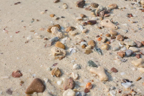 Zee Zand Textuur Gemaakt Van Shell Stenen Stukken — Stockfoto
