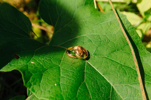 Anéis Casamento Dourados Com Caracol Grande Folha Verde — Fotografia de Stock