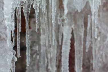 Kışın çok büyük ve tehlikeli buz sarkıtları yakın çekim