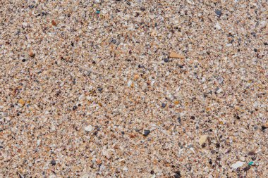 deniz kum doku yapılmış kabuk ve taş parçaları. Dikişsiz doku