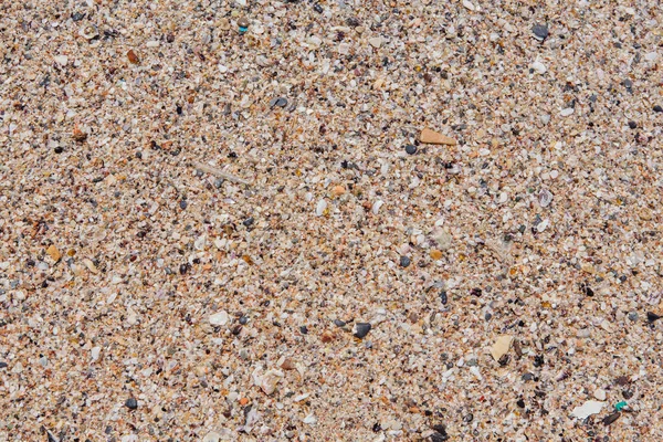 Sea Sand Texture Made Shell Stone Pieces Seamless Texture Royalty Free Stock Photos