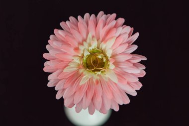 İki altın yüzük üzerinde büyük bir yapay çiçek