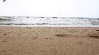 Rüzgarlı bir gün üzerinde eylem birçok kitesurfers