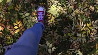 Kuru yaprakları üzerinde yürüyen ayakkabılar ayaklar.