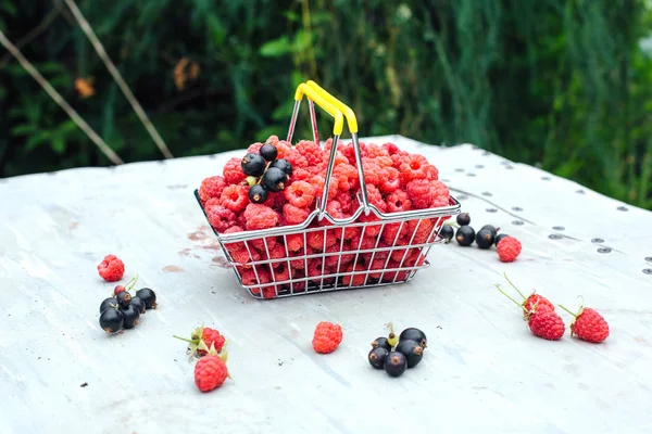 Mini shopping basket full of fresh red ripe raspberry and blackberry on vintage background — Stock Photo, Image