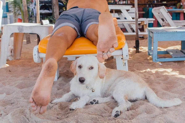 Pies gra z nogami mężczyzny leżąc na solarium. Pies próbuje ugryźć nogi mężczyzny na plaży — Zdjęcie stockowe