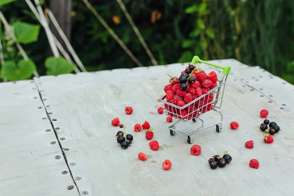 Mini cesta cheia de framboesa madura vermelha fresca e amora preta no fundo do vintage — Fotografia de Stock