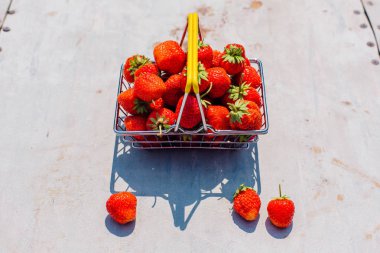 Mini alışveriş sepeti vintage arka plan taze kırmızı olgun çilek dolu