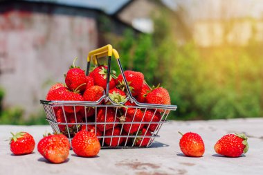 Mini alışveriş sepeti vintage arka plan taze kırmızı olgun çilek dolu