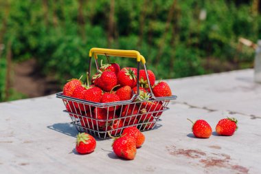 Mini alışveriş sepeti vintage arka plan taze kırmızı olgun çilek dolu