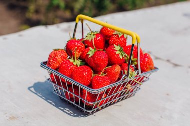 Mini alışveriş sepeti vintage arka plan taze kırmızı olgun çilek dolu