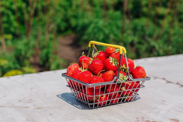 Mini shopping basket full of fresh red ripe strawberry on vintage background