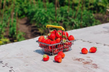 Mini alışveriş sepeti vintage arka plan taze kırmızı olgun çilek dolu