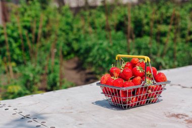 Mini alışveriş sepeti vintage arka plan taze kırmızı olgun çilek dolu