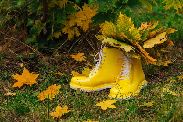 Żółte gumowe buty na trawie z bouquete żółtego liści klonu wewnątrz. — Zdjęcie stockowe