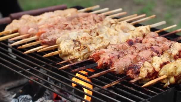 De chef-kok bereidt een barbecue. Smakelijk heerlijke gebakken stukken vlees brochettes worden gebrand op een grote grill buiten — Stockvideo