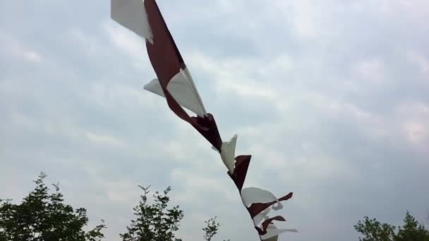 Banderas de triángulo marrón y blanco en el viento . — Vídeos de Stock