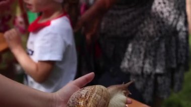 Çocuklar bir kadının avucundasalsala dokunuyor. Dev Afrika salyangozu (Achatina fulica).
