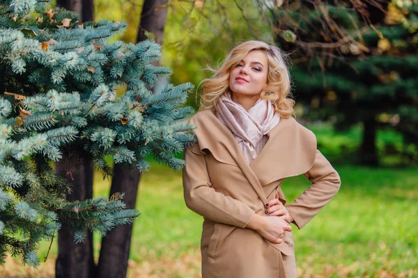 Piękna elegancka kobieta stoi pod jodełką w jesiennym parku — Zdjęcie stockowe