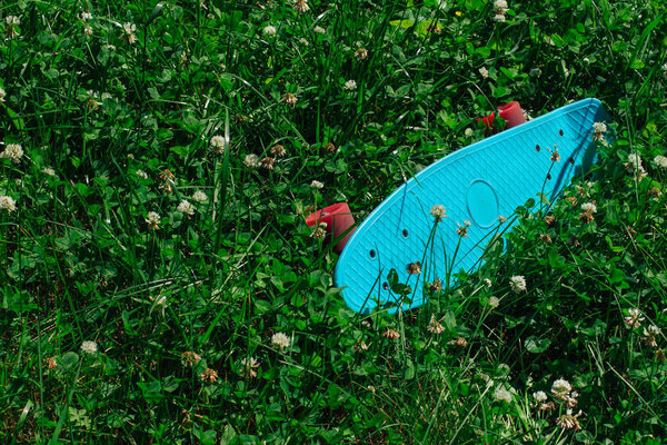 Blue penny board with pink wheels on clover field.