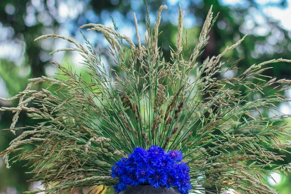 Kék virágzó cornflowers. Csokor búzafű díszített fű. — Stock Fotó