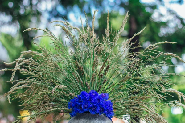 Kék virágzó cornflowers. Csokor búzafű díszített fű. — Stock Fotó