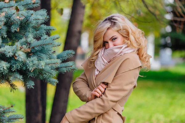 Mulher elegante bonita de pé sob o abeto no parque de outono — Fotografia de Stock