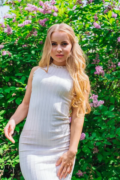 Retrato de una encantadora mujer rubia con hermoso vestido blanco de pie junto al arbusto lila . —  Fotos de Stock