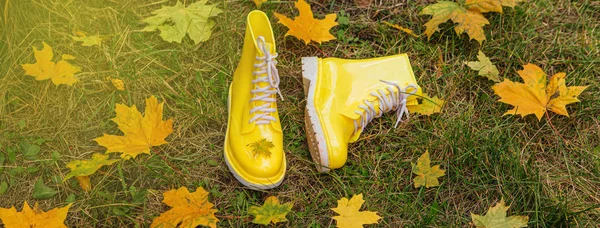 Banner of yellow rubber boots and yellow maple leaves on a wet grass