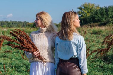 Yazın sonlarında bir tarlada iki güzel kadının portresi. Güzel kızlar yan yana durur ve kuru kahverengi bitkilerden buket tutarlar..