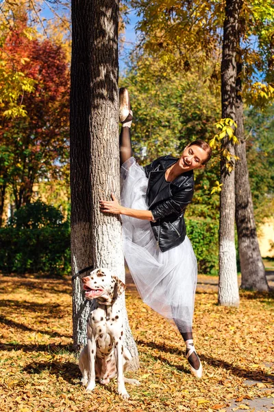 Ballerina with Dalmatian dog in the Park. Woman ballerina in a white ballet skirt and black leather jacket doing splits in pointe shoes in autumn park with her spotty dalmatian dog.