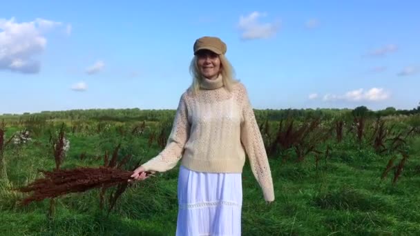 Счастливая красивая блондинка гуляет по зеленому полю с букетом сухих коричневых растений — стоковое видео